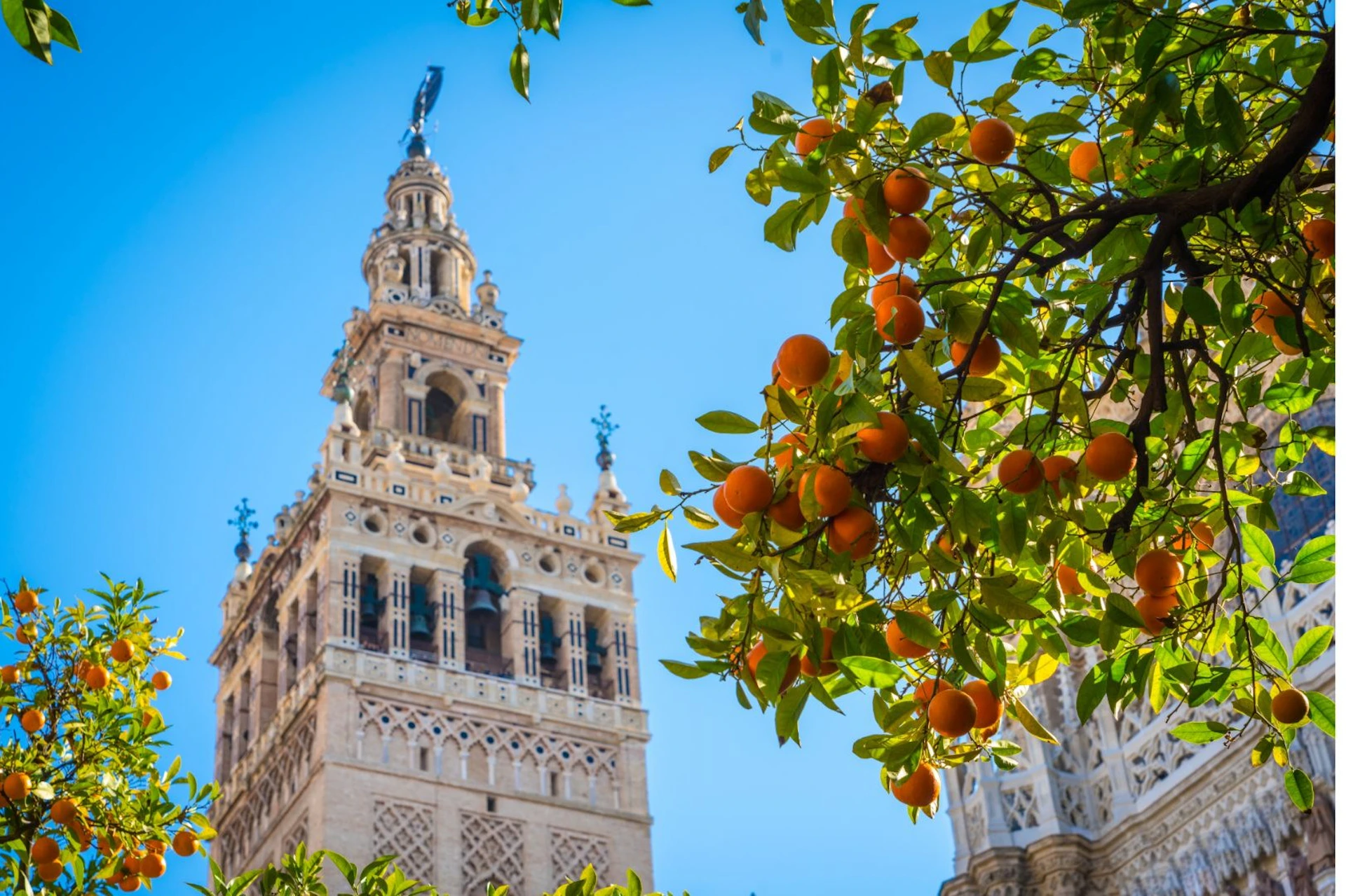 Seville Cathedral