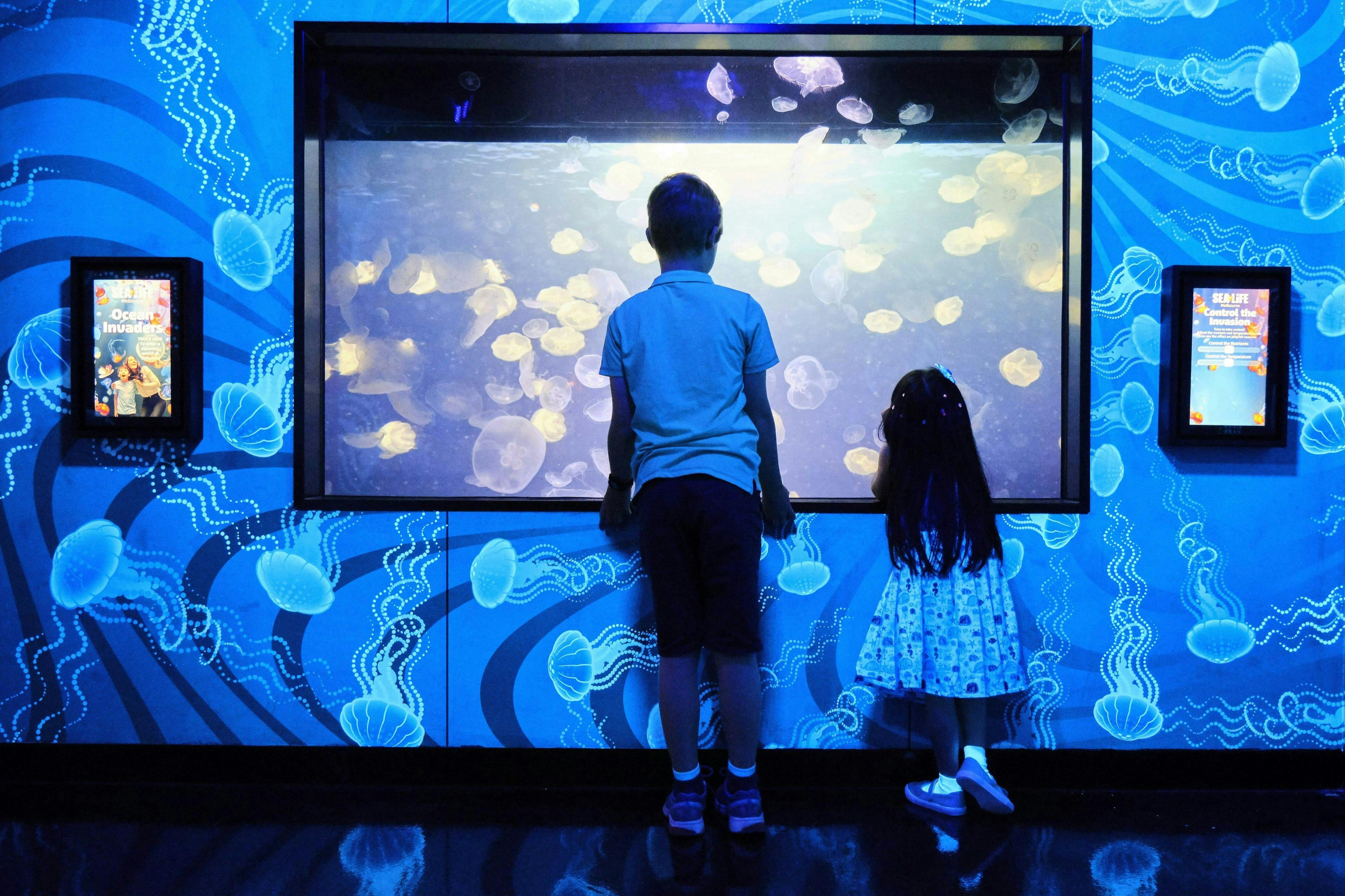 Acquario SEA LIFE Melbourne: Biglietto salta-coda (Prodotto B2B) — 8