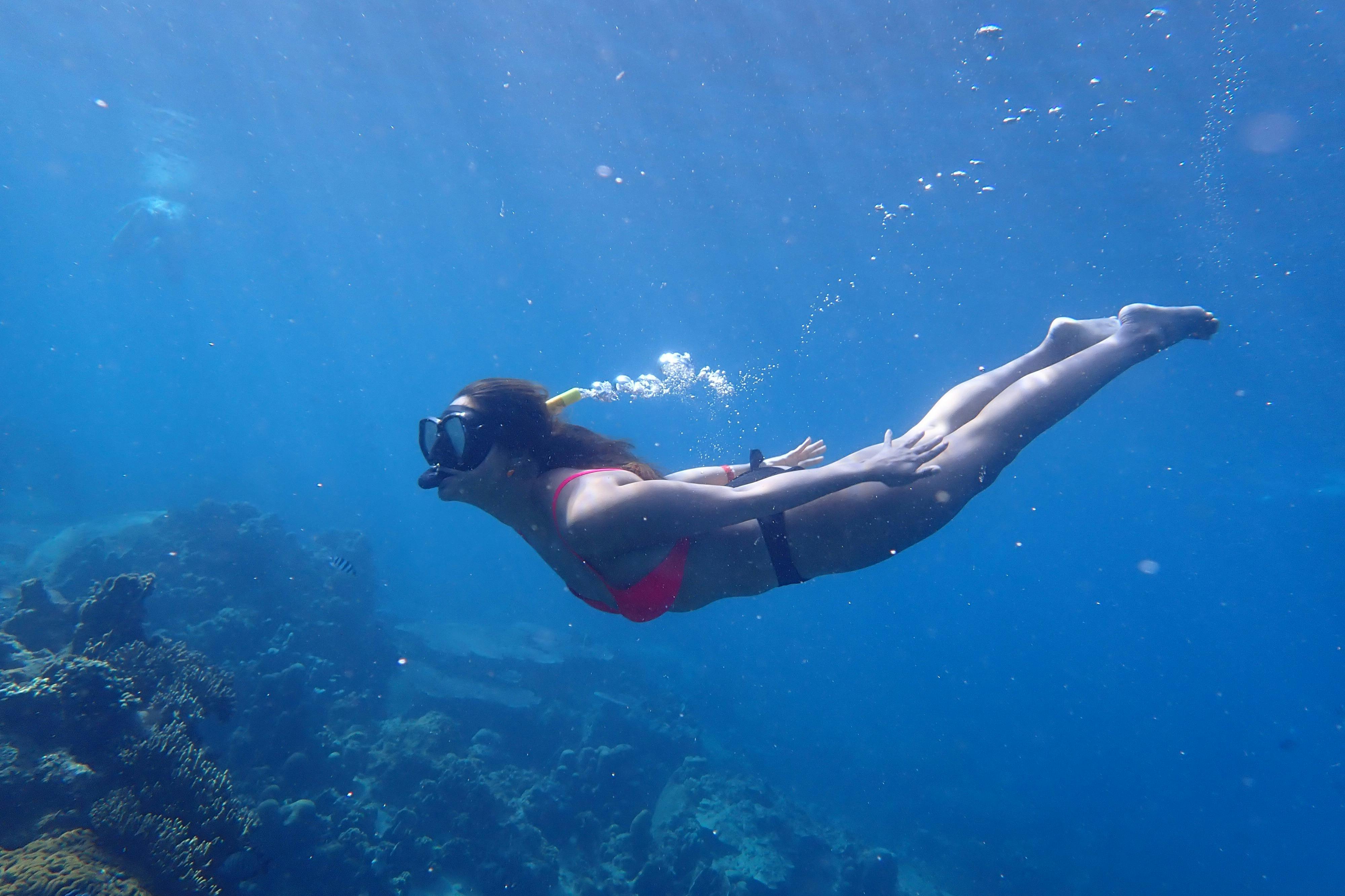 在他们周到的工作人员的监督下，使用提供的设备浮潜。