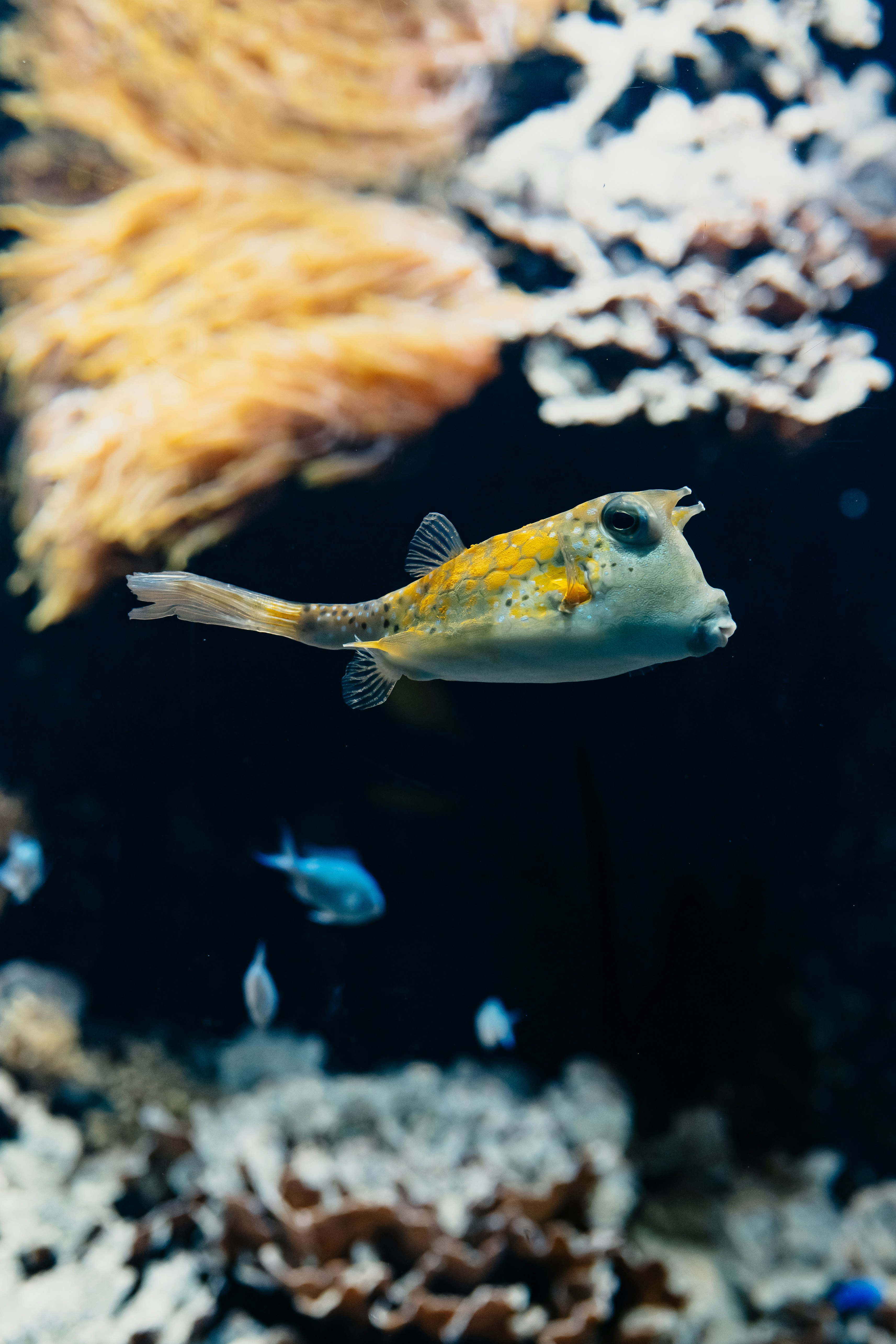 Aquarium du Grand Lyon: Entry Ticket