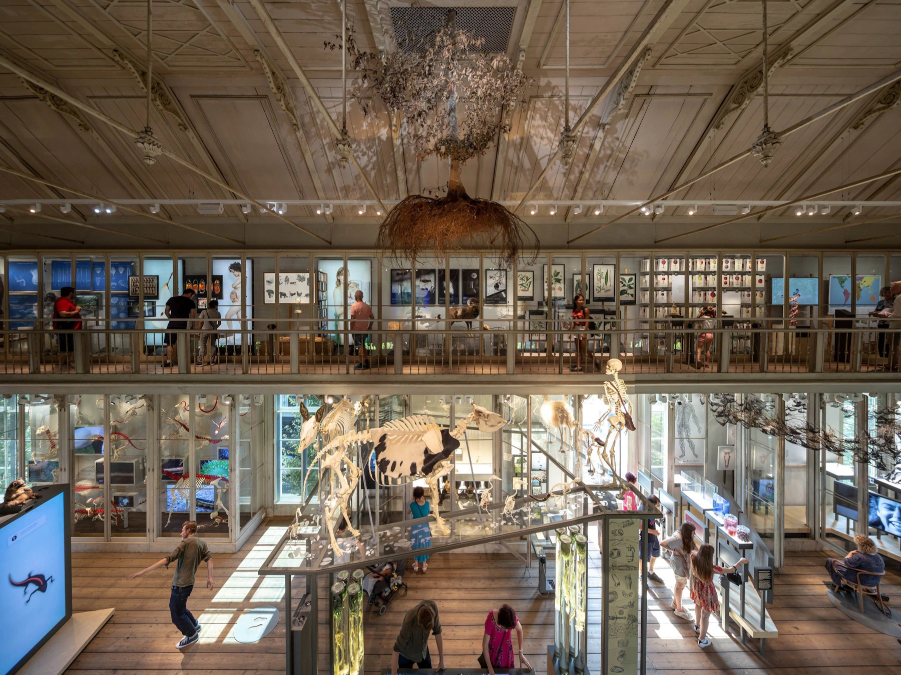ARTIS Amsterdam Koninklijke Dierentuin & Groote Museum: Toegangsticket zonder wachtrij
