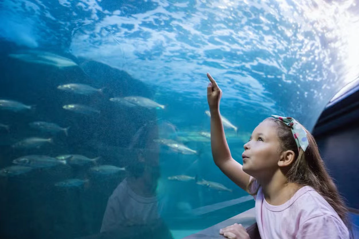 Inbursa Aquarium in Mexico City: Entrance Ticket