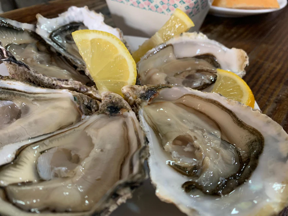 Close-up of fresh oysters on the half shell, garnished with lemon wedges, and a small patterned box in the background.