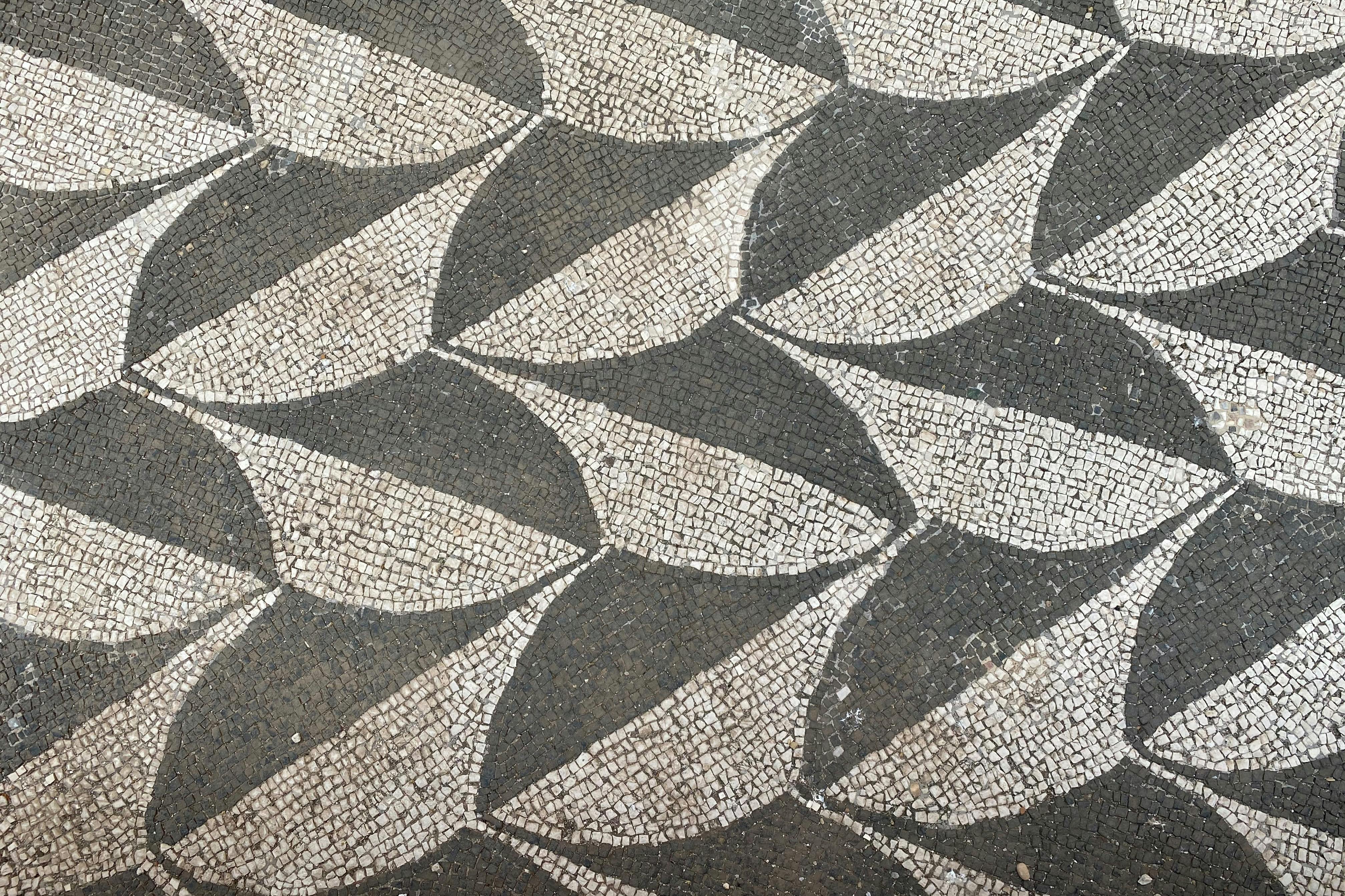 Floor mosaics in baths of Caracalla