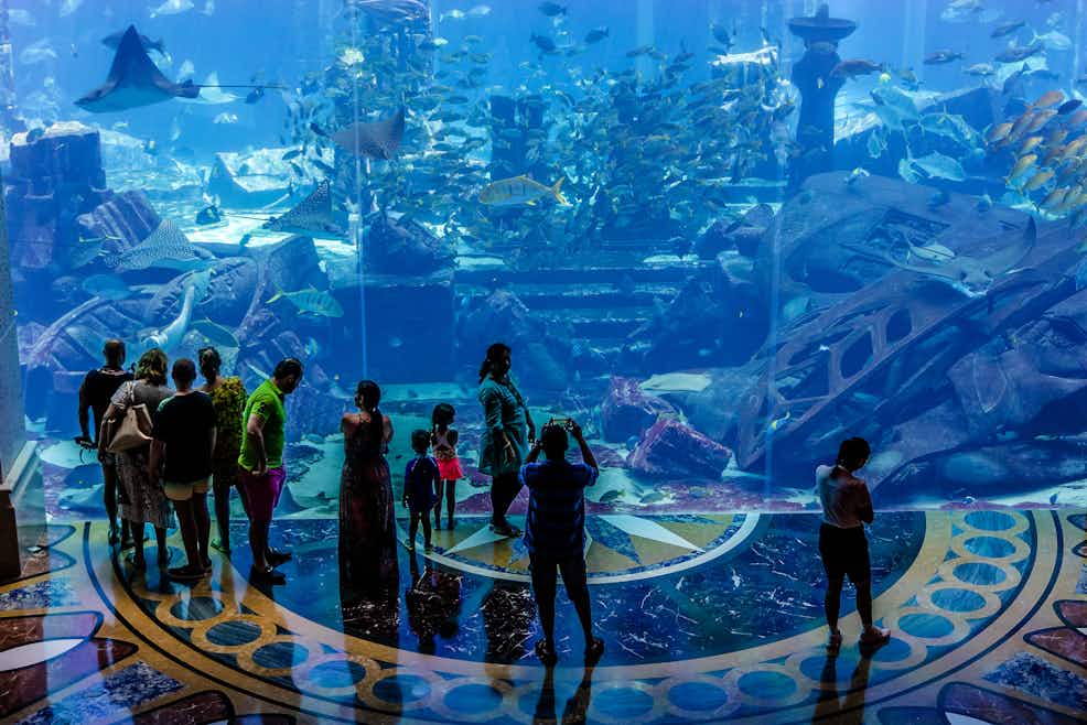 Tickets For Dubai Lost Chambers Aquarium Tiqets