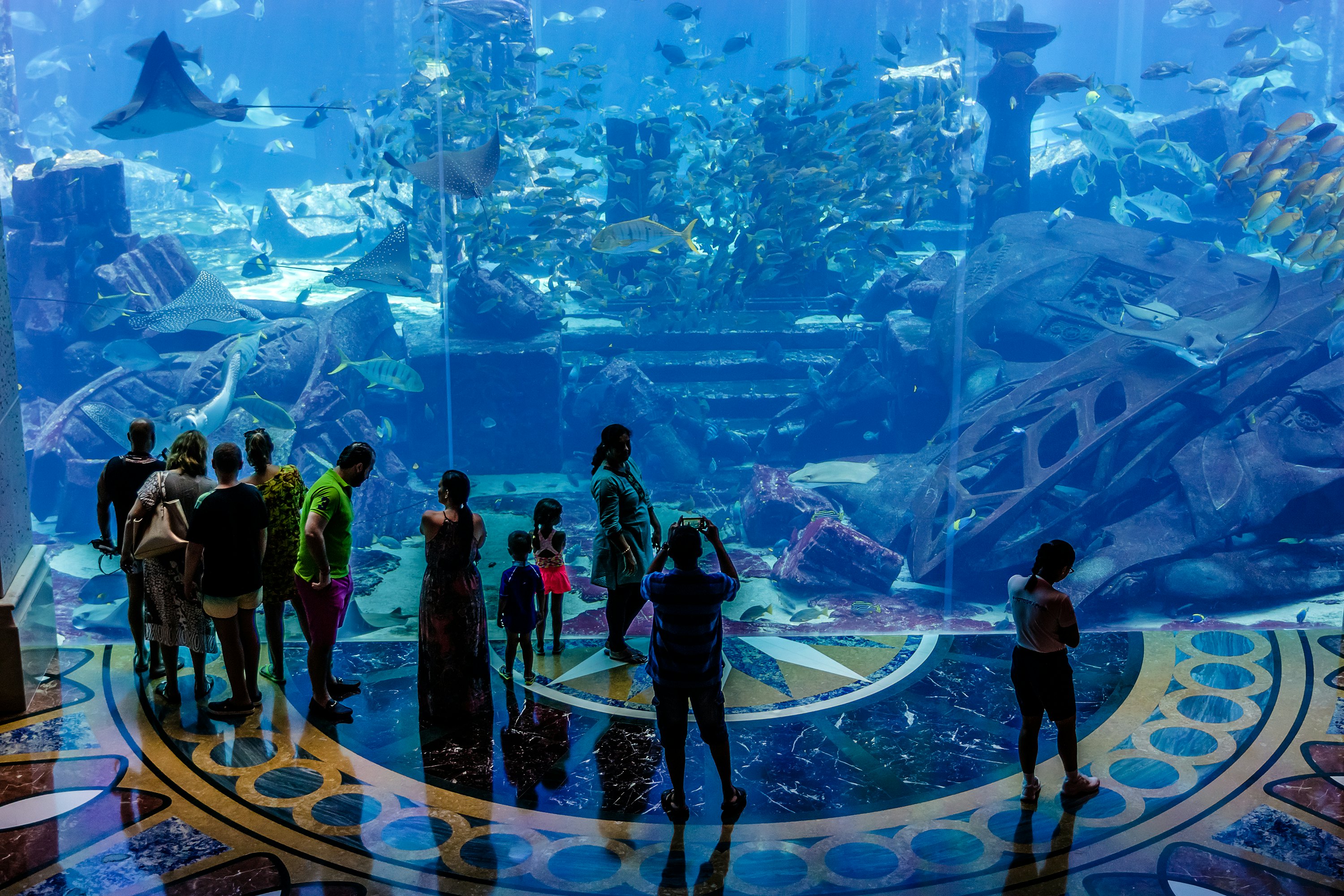 Dubai Lost Chambers Aquarium Tickets | Tiqets