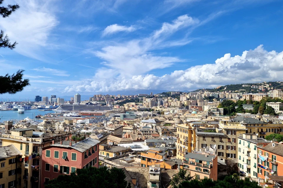 Panoramic view