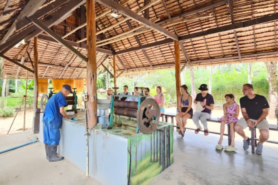 Παρατηρήστε πώς δημιουργούνται τα φύλλα από καουτσούκ από το χυμό που συλλέγεται από τα δέντρα.