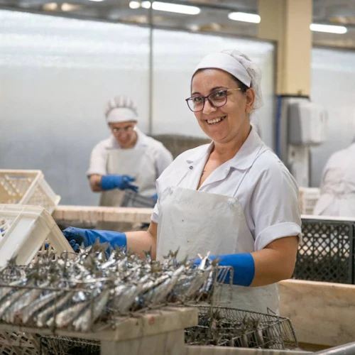 Conservas Pinhais Factory: Guided Tour in English