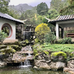 Pinglin Tea Culture & Maokong: Guided Day Tour from Taipei + Gondola Ride 3