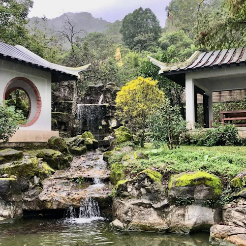 Pinglin Tea Culture & Maokong: Guided Day Tour from Taipei + Gondola Ride - Photo 3
