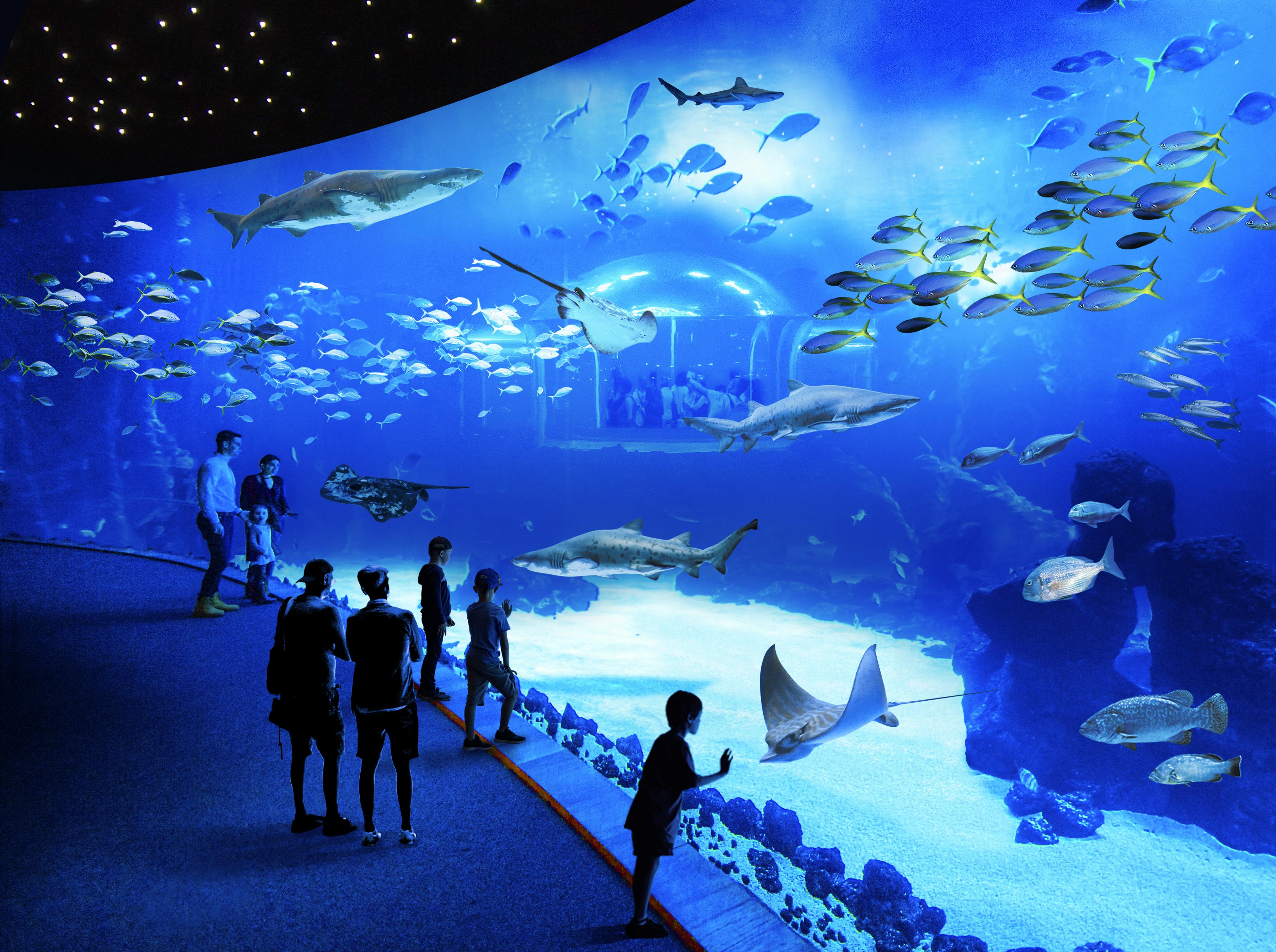 Afbeelding van aquarium in het aquarium met zwemmende vissen