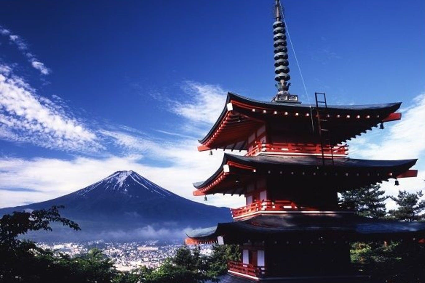 Mt. Fuji & Arakura Sengen Shrine