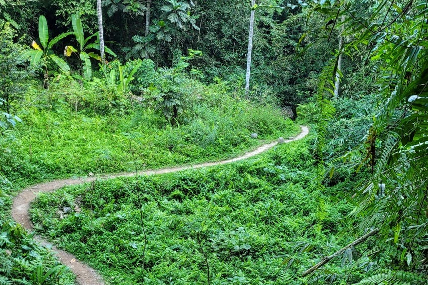 Διαδρομές προς τον καταρράκτη