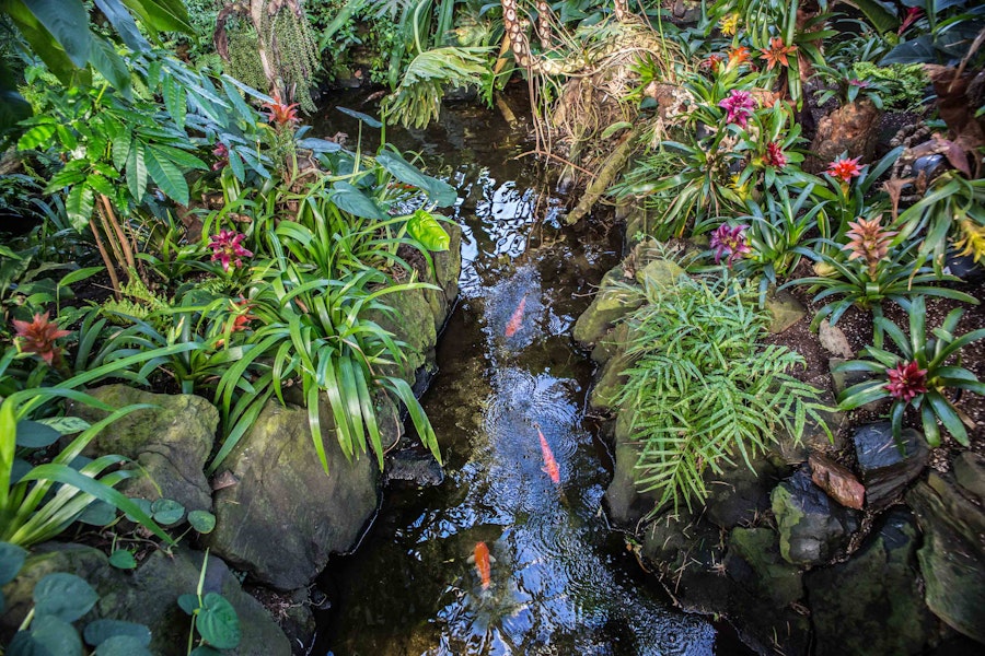 Vancouver Bloedel Conservatory Tickets Hellotickets