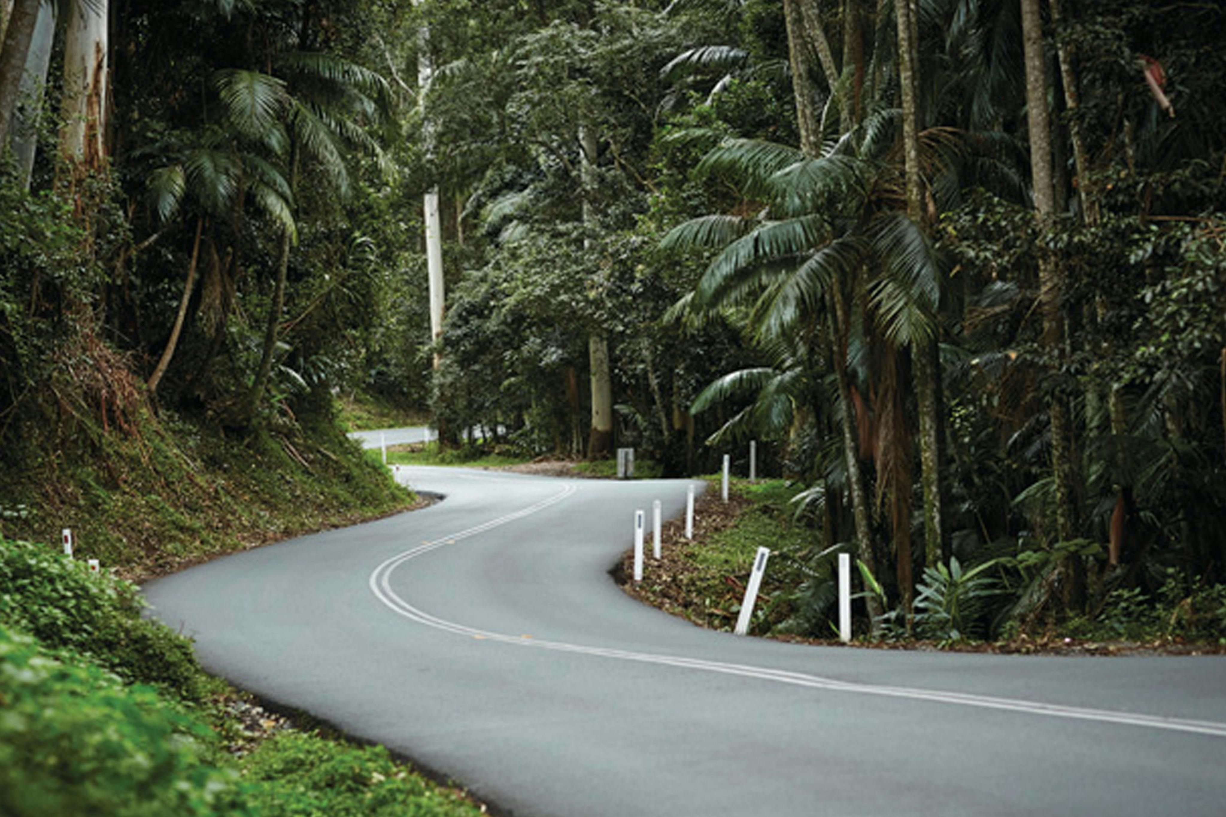 The Road to Tamborine Mountain
