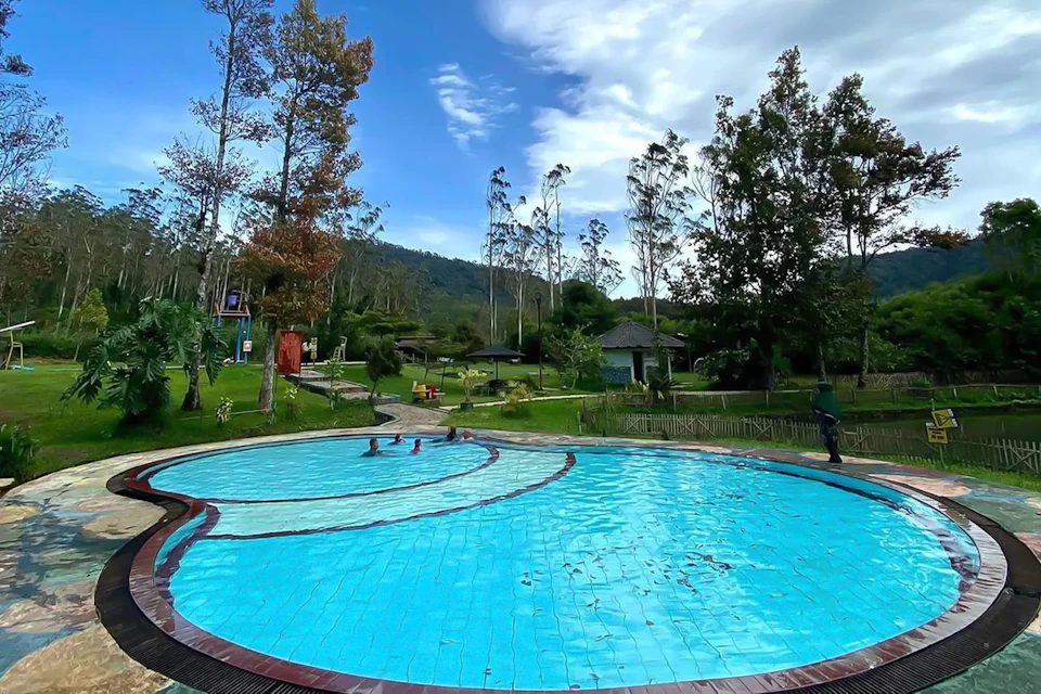 A serene outdoor swimming pool surrounded by lush greenery and tall trees under a partly cloudy sky.