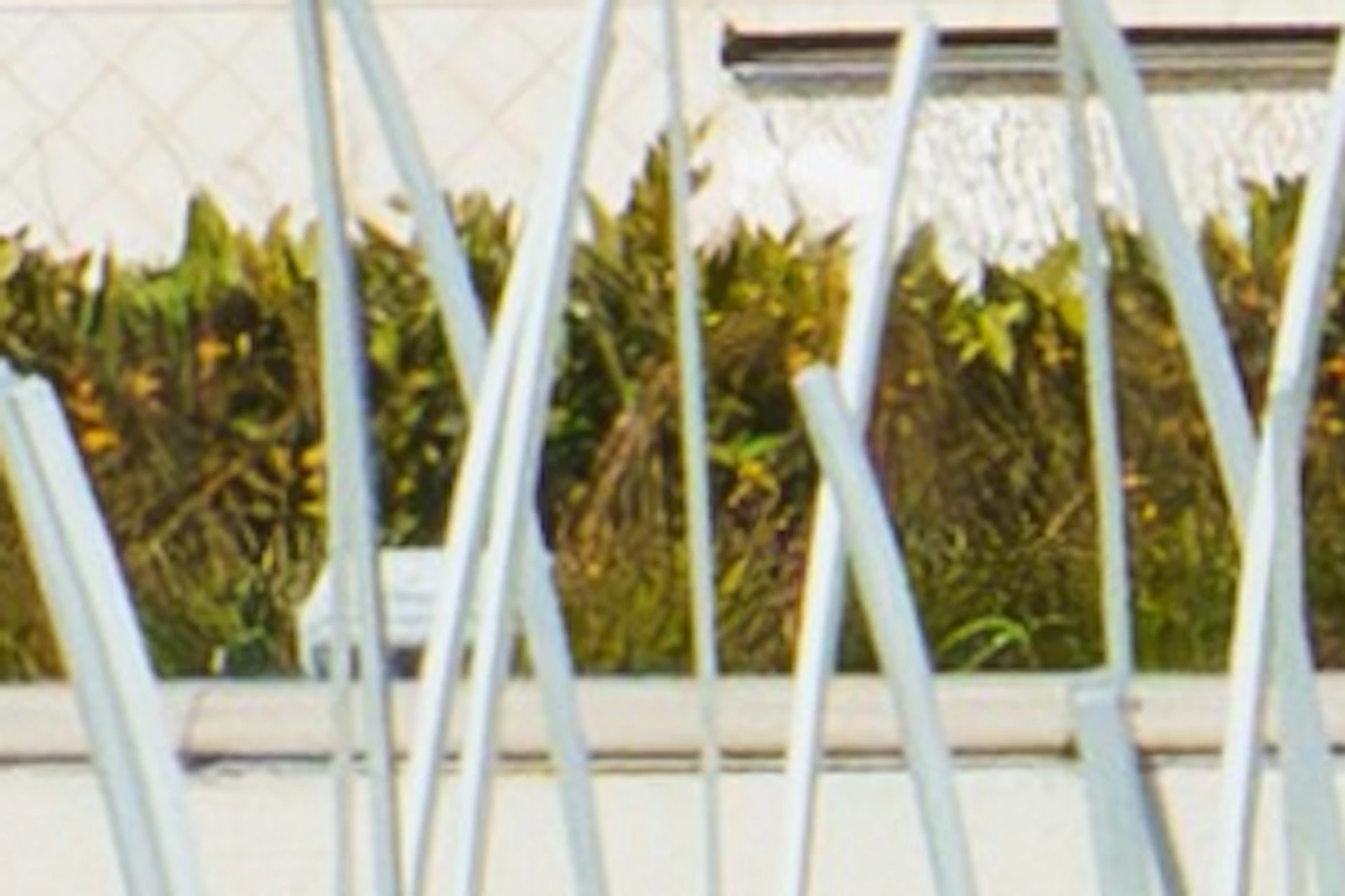 Four women sitting on a ledge in front of the iconic Beverly Hills sign, with a fountain and trees in the background.