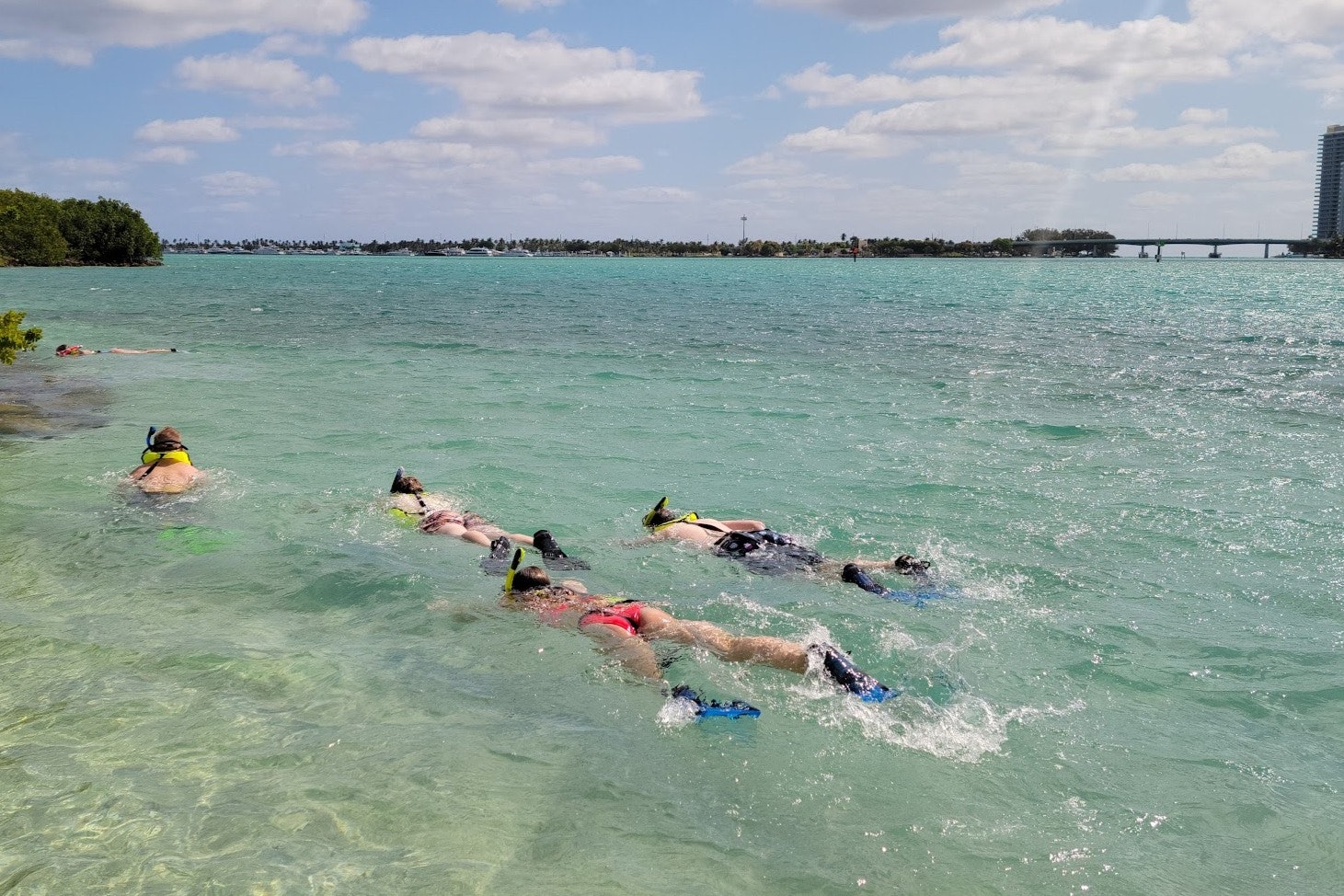 Miami: Passeio de mergulho com snorkel na ilha em um SUP ou caiaque