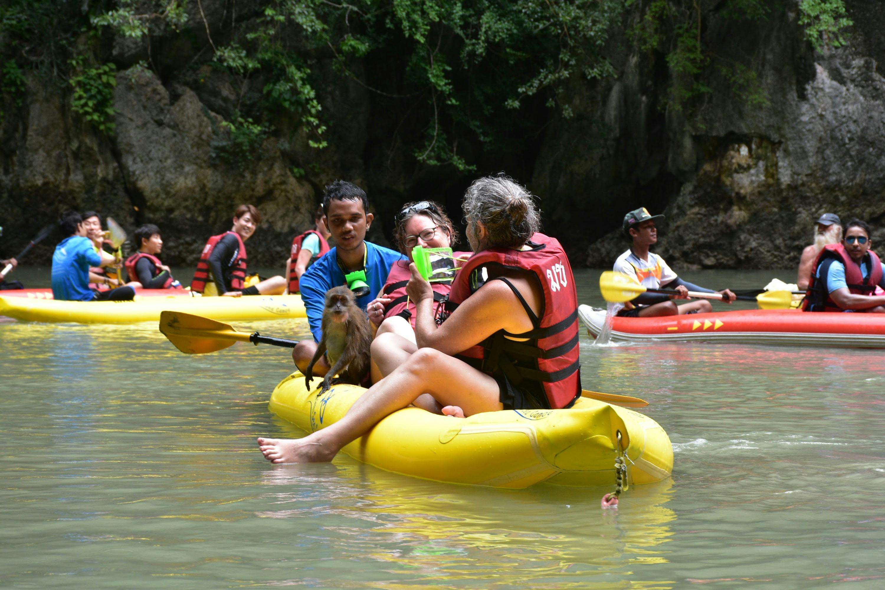 Monkey jumping from kayak to kayak