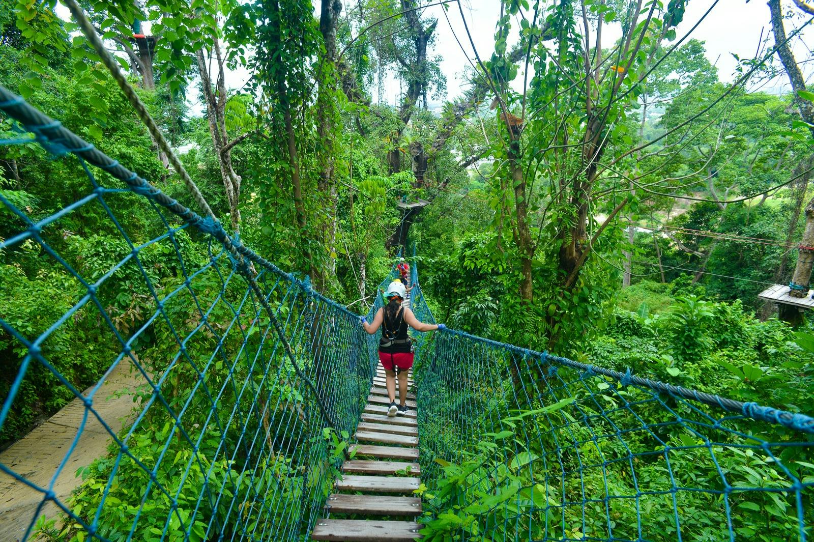 Persona caminando por un puente colgante de madera y cuerdas azules en una zona boscosa, verde y exuberante.