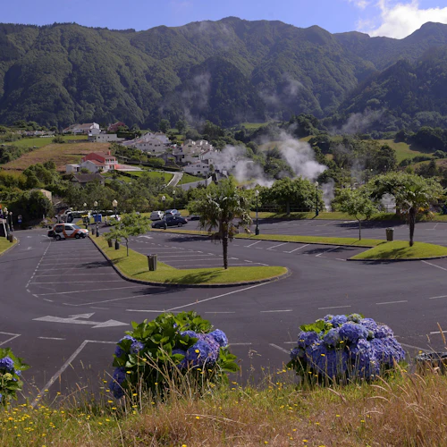 Furnas: Tea Plantations, Lake, and Volcano Guided Tour - Photo 5