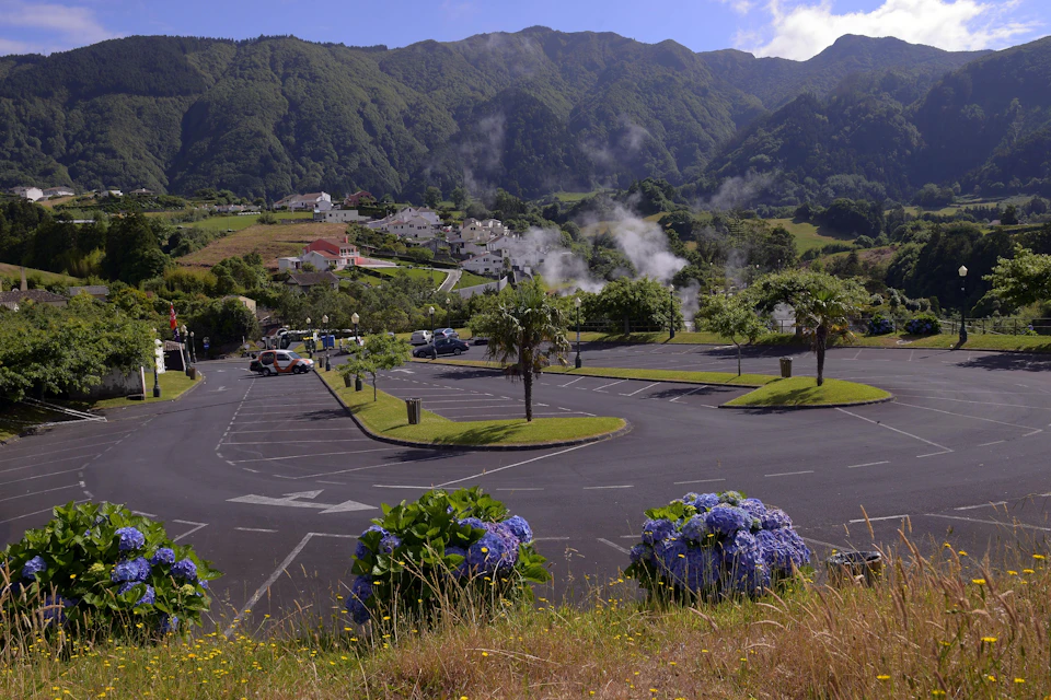 Parking lot with cars, surrounded by greenery and flowers, leading to residential houses with mountains in the background.