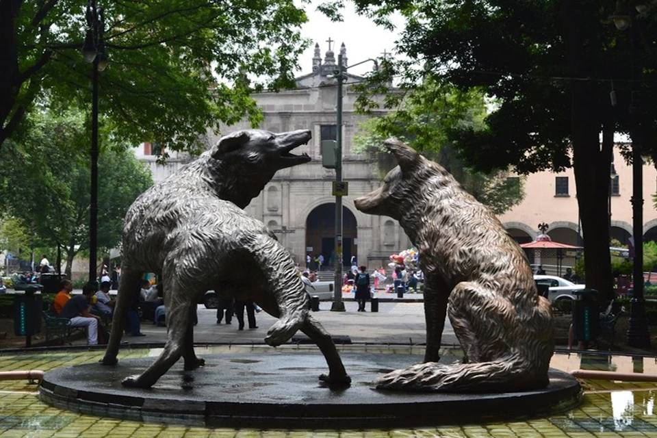 Coyoacan