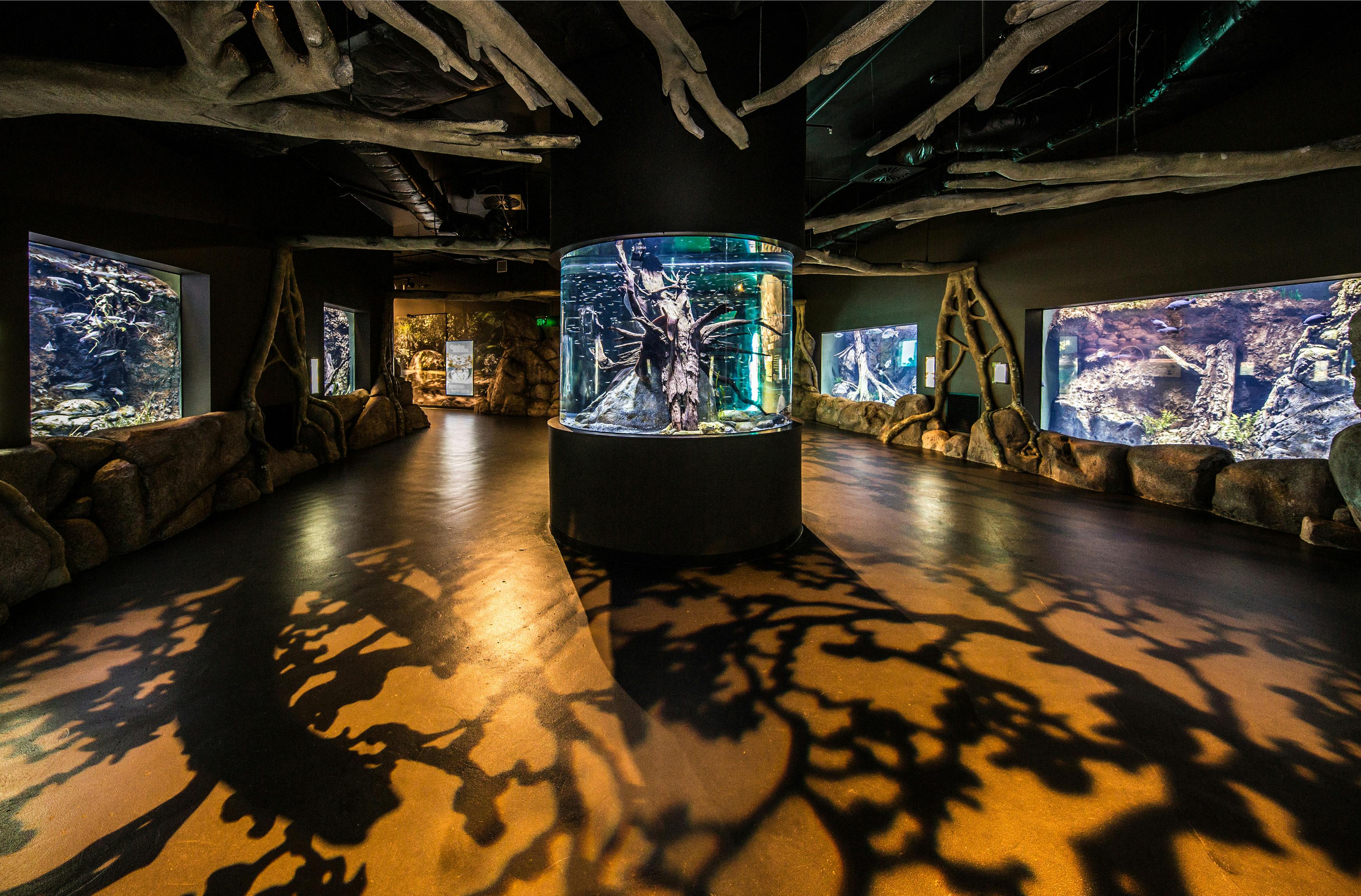 Výstavní místnost akvária s válcovými a obdélníkovými nádržemi, která představuje vodní život. Stíny větví stromů na podlaze a stropě.