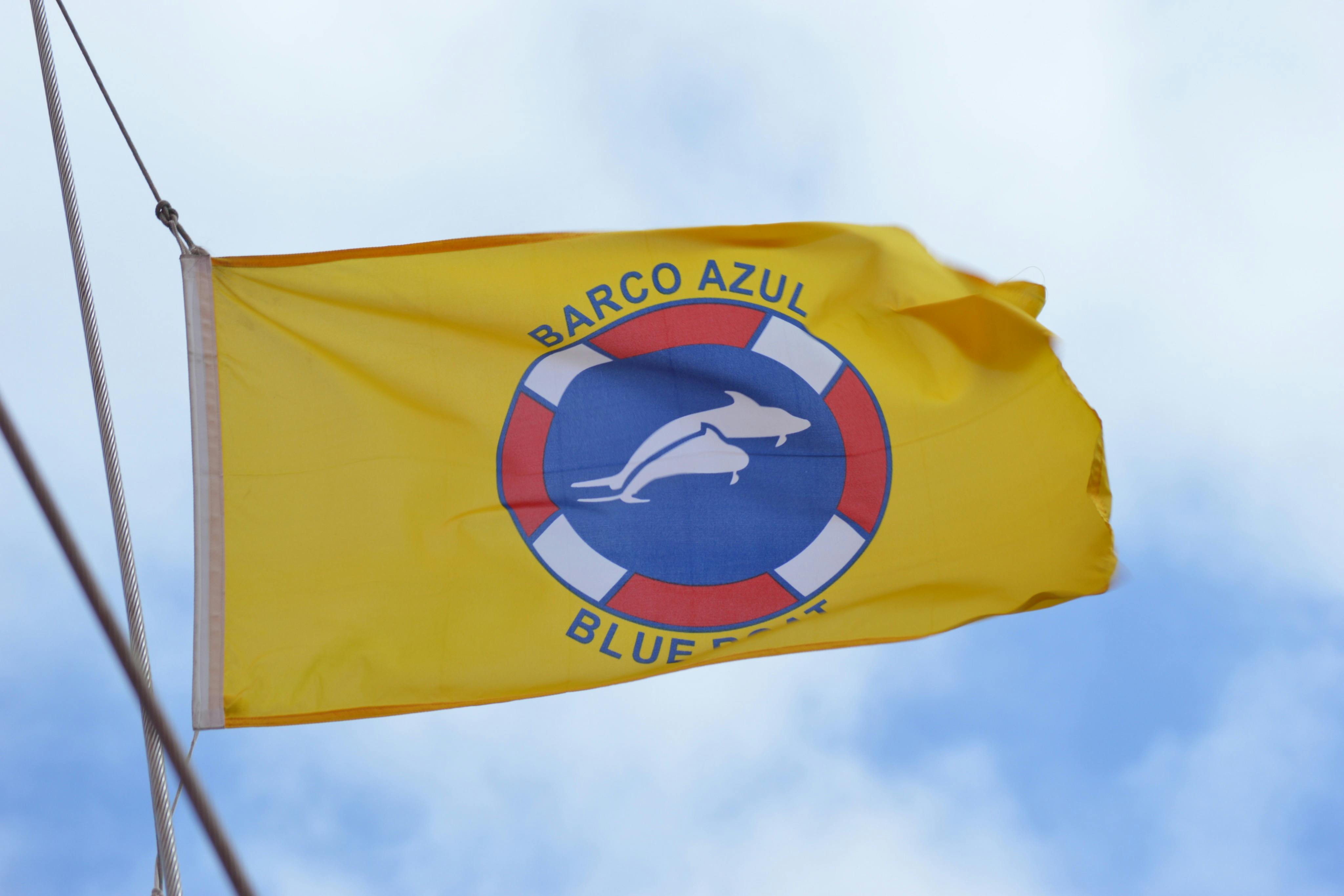 法定ホエールウォッチング許可証