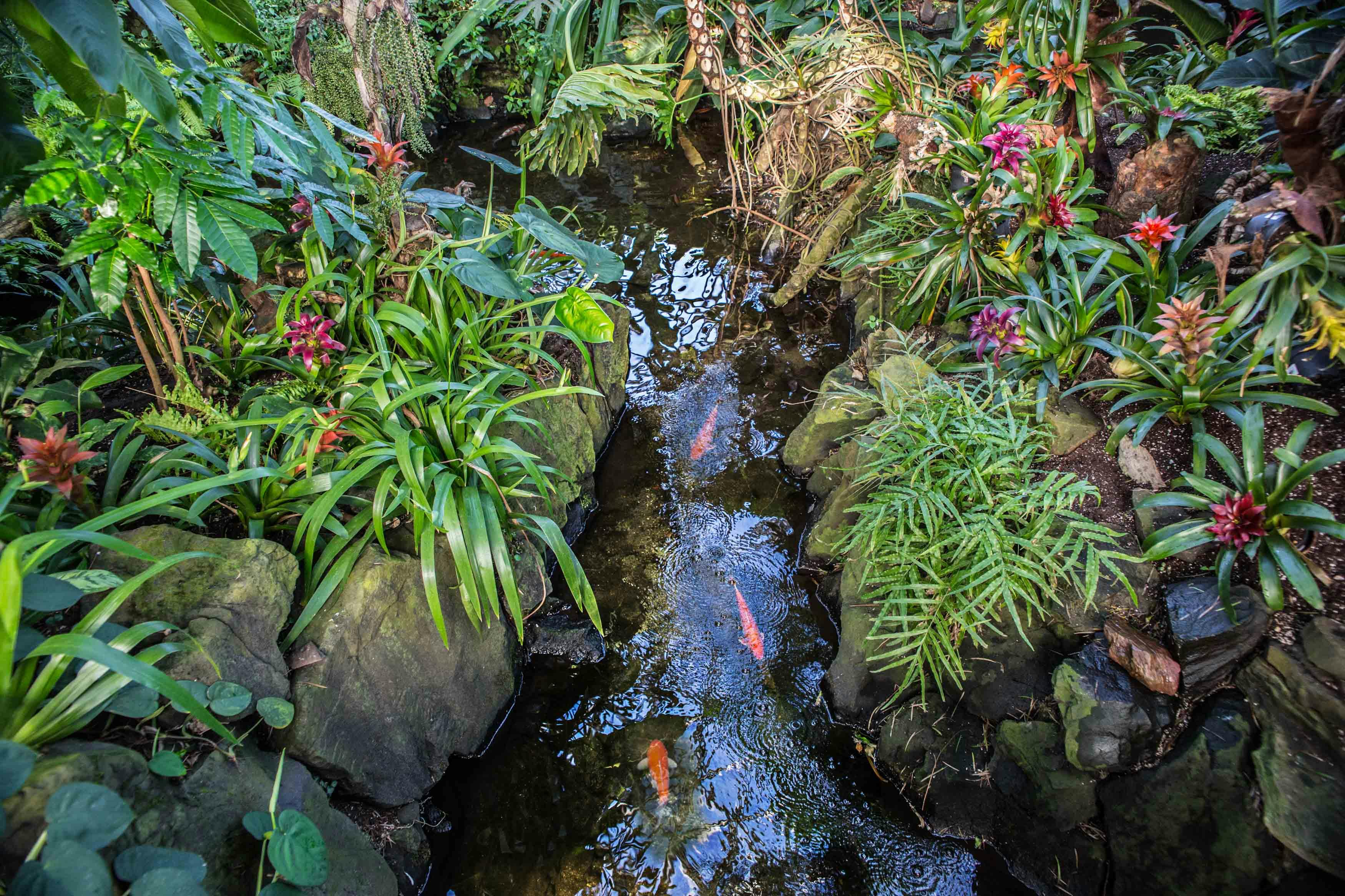 Bloedel Conservatory Tickets | Vancouver