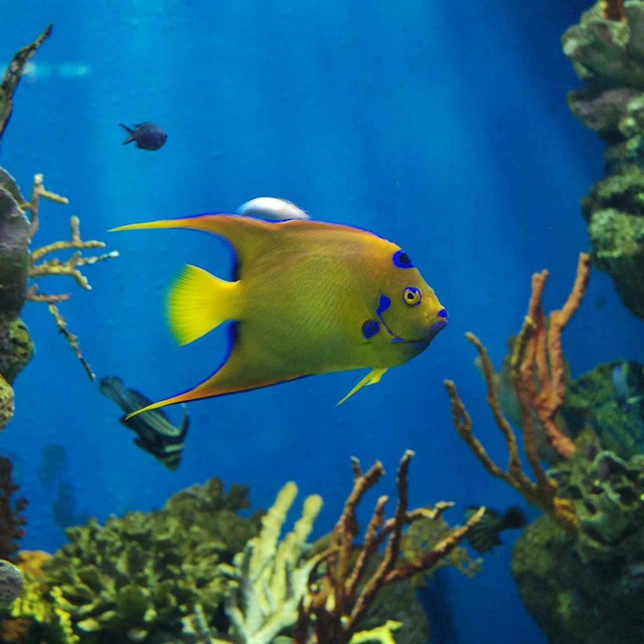 L'Aquarium de Barcelona: Flexi-ticket - Accommodations in Barcelona