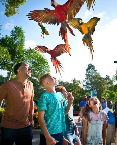 ZooTampa at Lowry Park: Fast Track Admission Ticket - 7