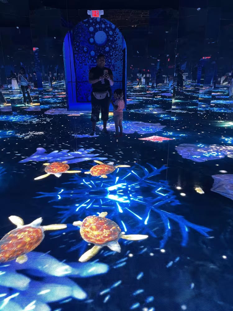 一个男人和孩子在一个房间里，里面有海龟和星形图案的反光表面和地板投影。