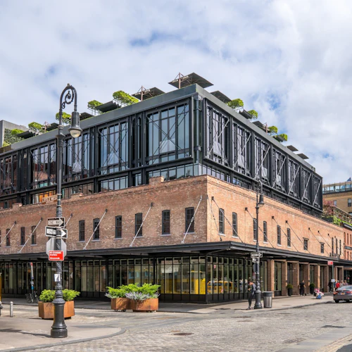 High Line, Chelsea & Hudson Yards: Guided Walking Tour + Edge NYC Entry Ticket - Photo 3