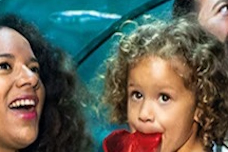 Loro Parque Diamond Pass med guidad tur