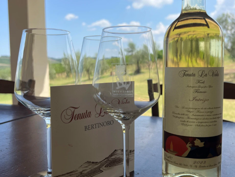 Wine glasses, a wine bottle, and a wine label are on a table. A scenic vineyard view is visible through a window in the background.