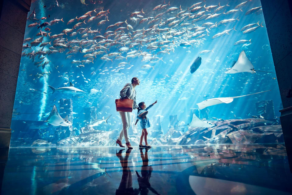 Atlantis The Palm - Lagoon
