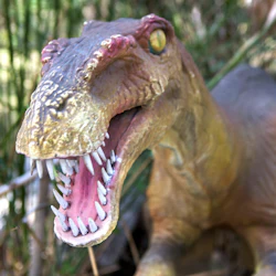 Närbild av en dinosauriemodell med en öppen mun som visar vassa tänder, mot en kuliss av tät grönska.