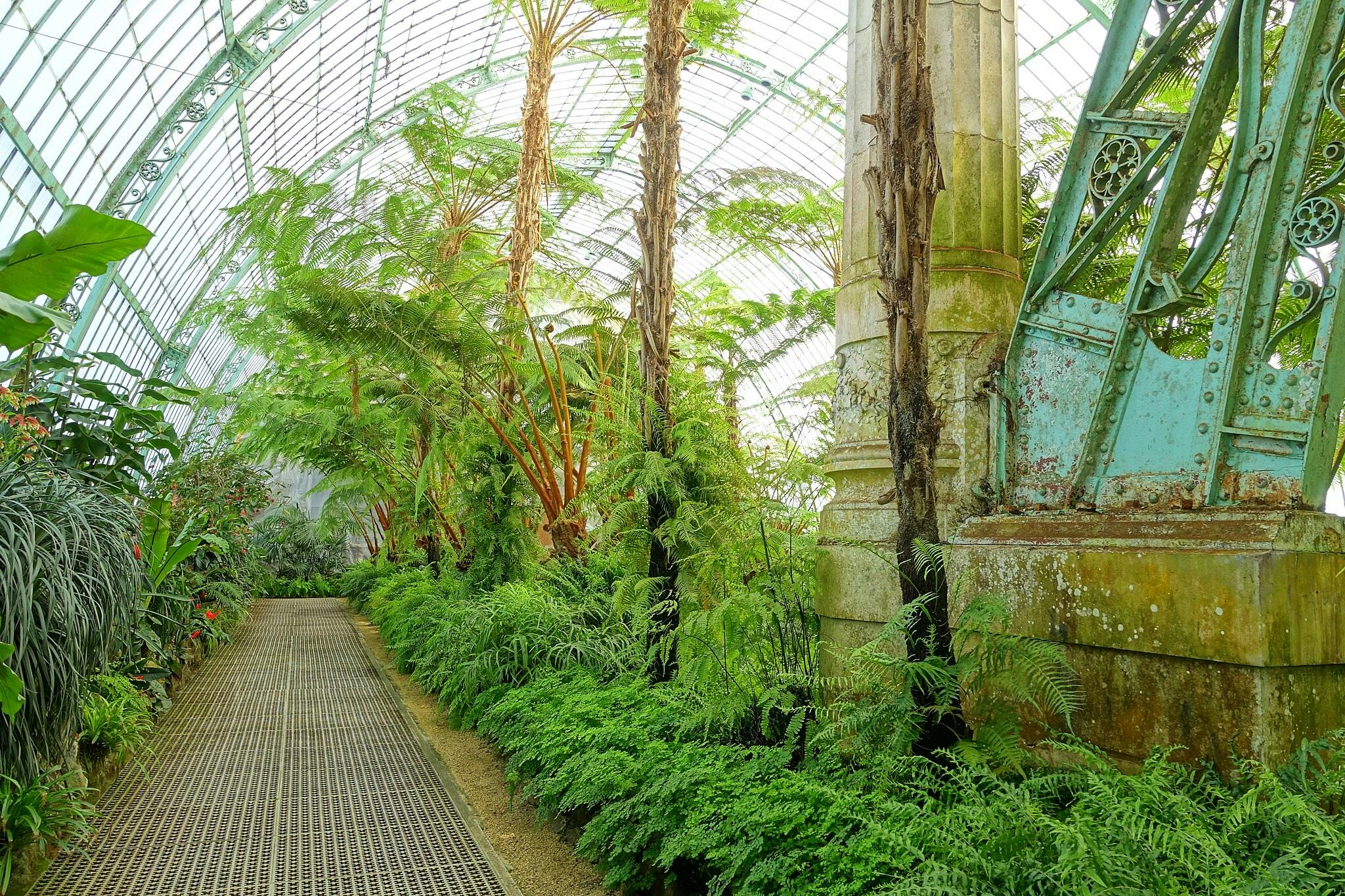 Królewskie szklarnie Laeken w Brukseli