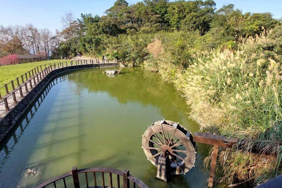 Maokong Zhangshu Trail