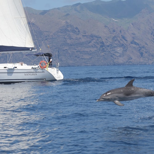 Tenerife: 3-Hour Sailing Tour to Los Gigantes with Snorkelling, Drink & Tapas Tenerife: 3-Hour Sailing Tour to Los Gigantes with Snorkelling, Drink & Tapas