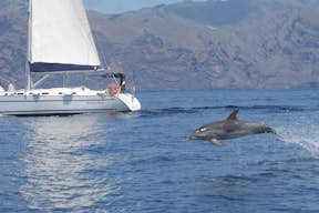Onze boot Sangría met een dolfijn