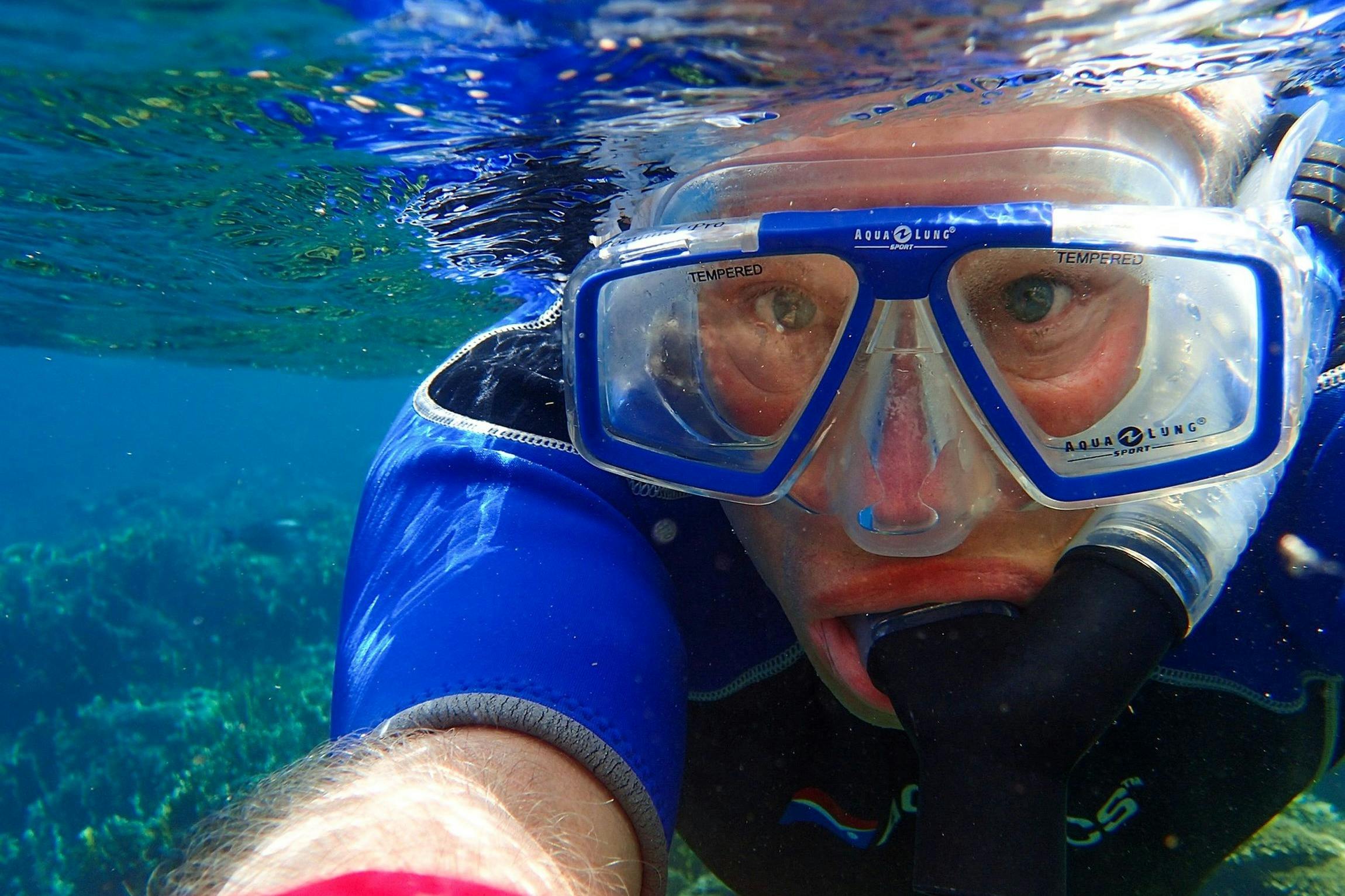 浮潜时可以看到许多令人惊叹的东西