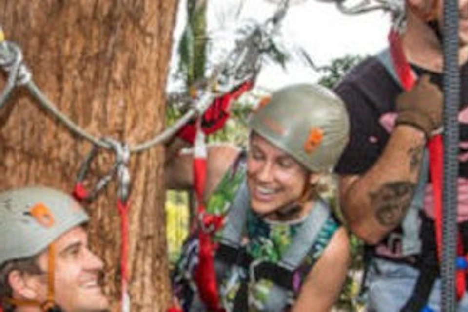 TreeTop Adventure Challenge on the Sunshine Coast
