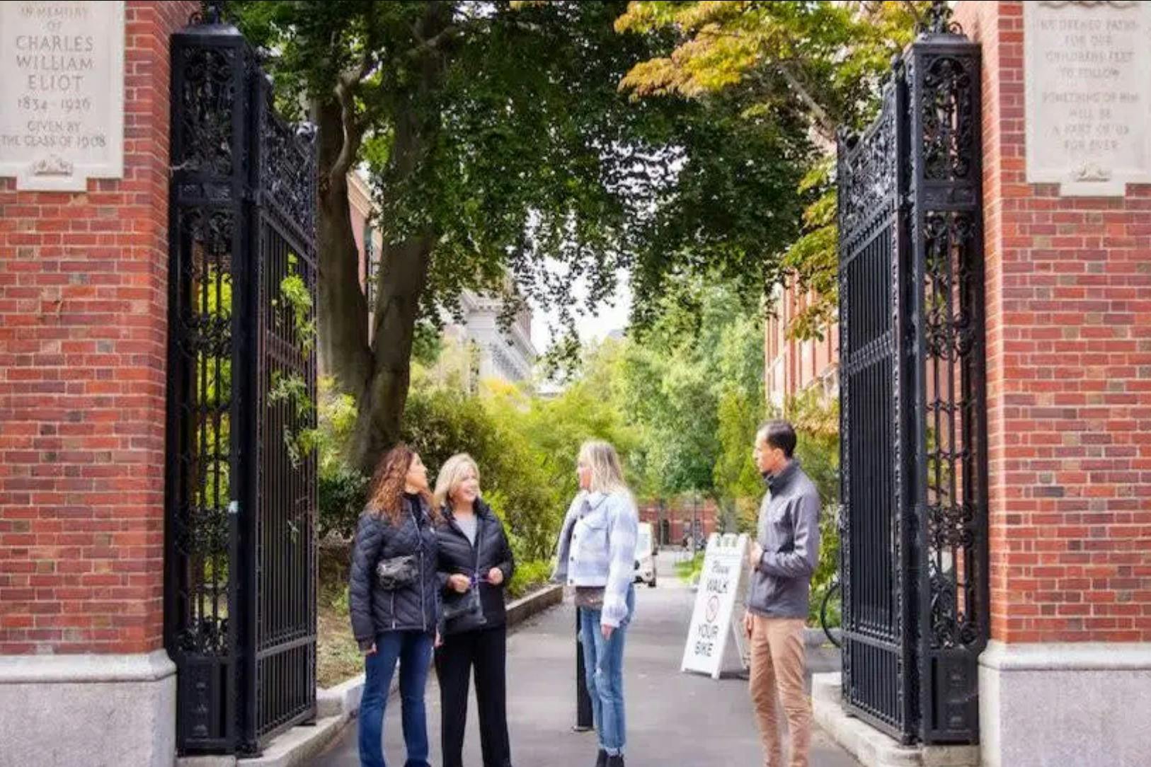 크루즈 & 보트 투어