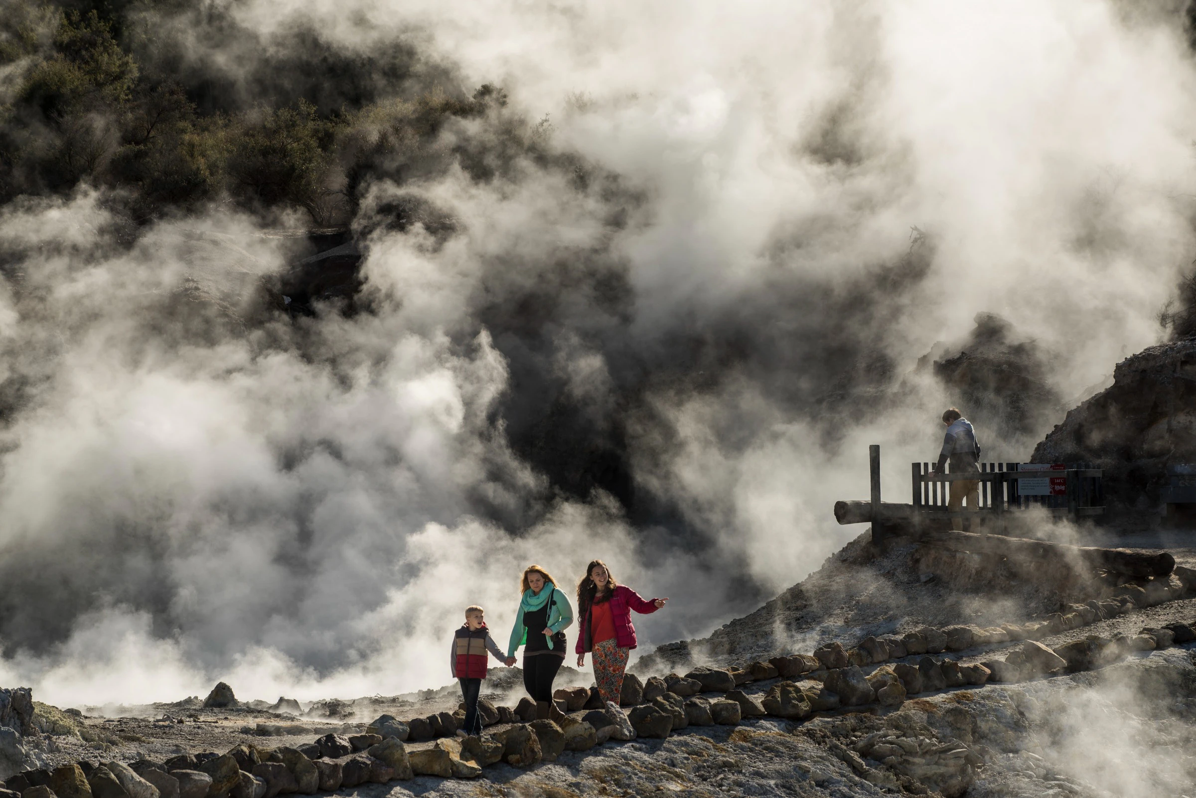 Rotorua: Hell's Gate Geothermal Reserve & Mud Bath Experience