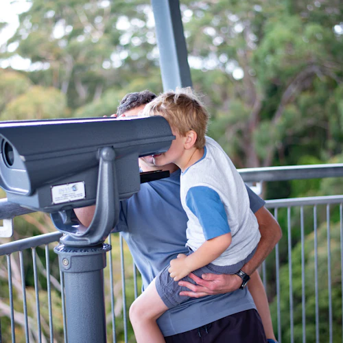 Illawarra Fly Treetop Adventures: Treetop Walk