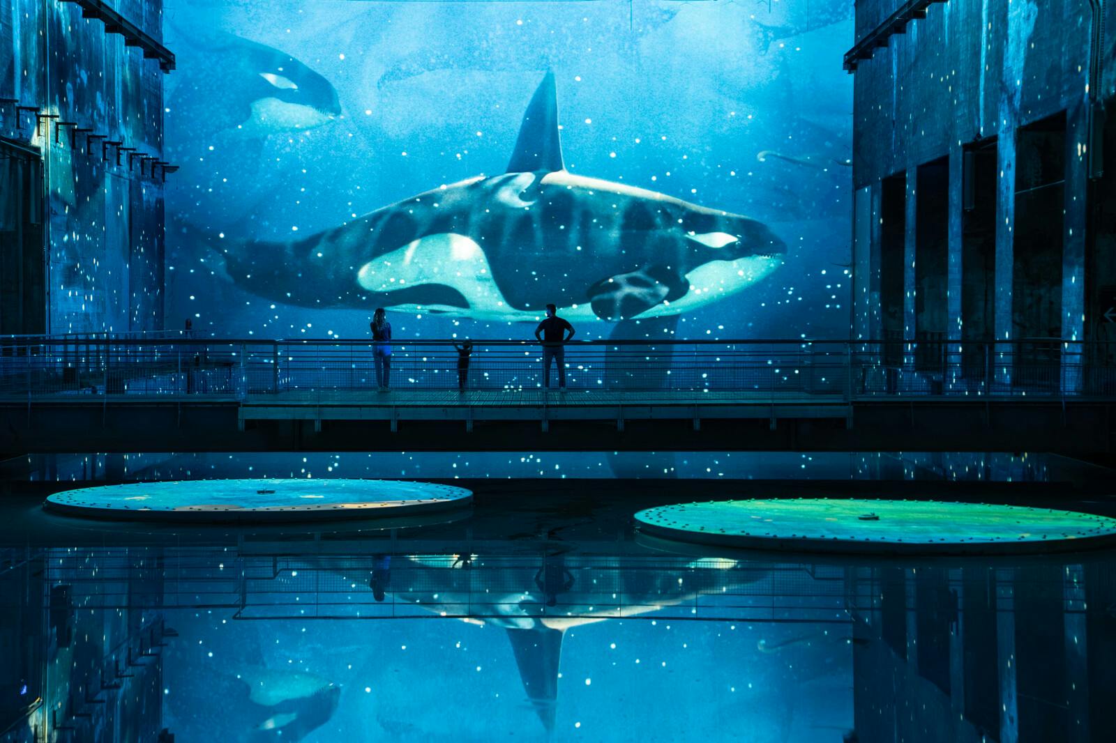 Bacias hidrográficas de Lumières: Exposição sobre o Oceano - Photo 6