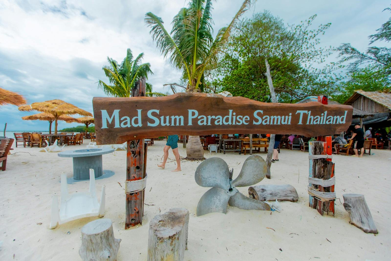 Tan & Pig Islands: Guided Speedboat Tour from Koh Samui + Pink Dolphin Spotting